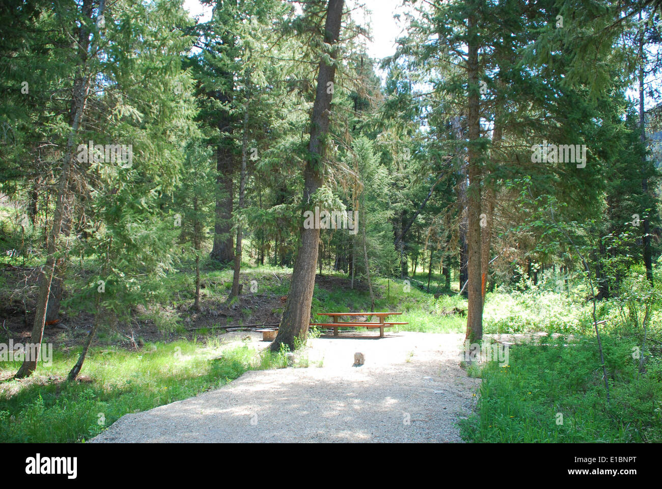 Slate Creek Campground site Stock Photo Alamy
