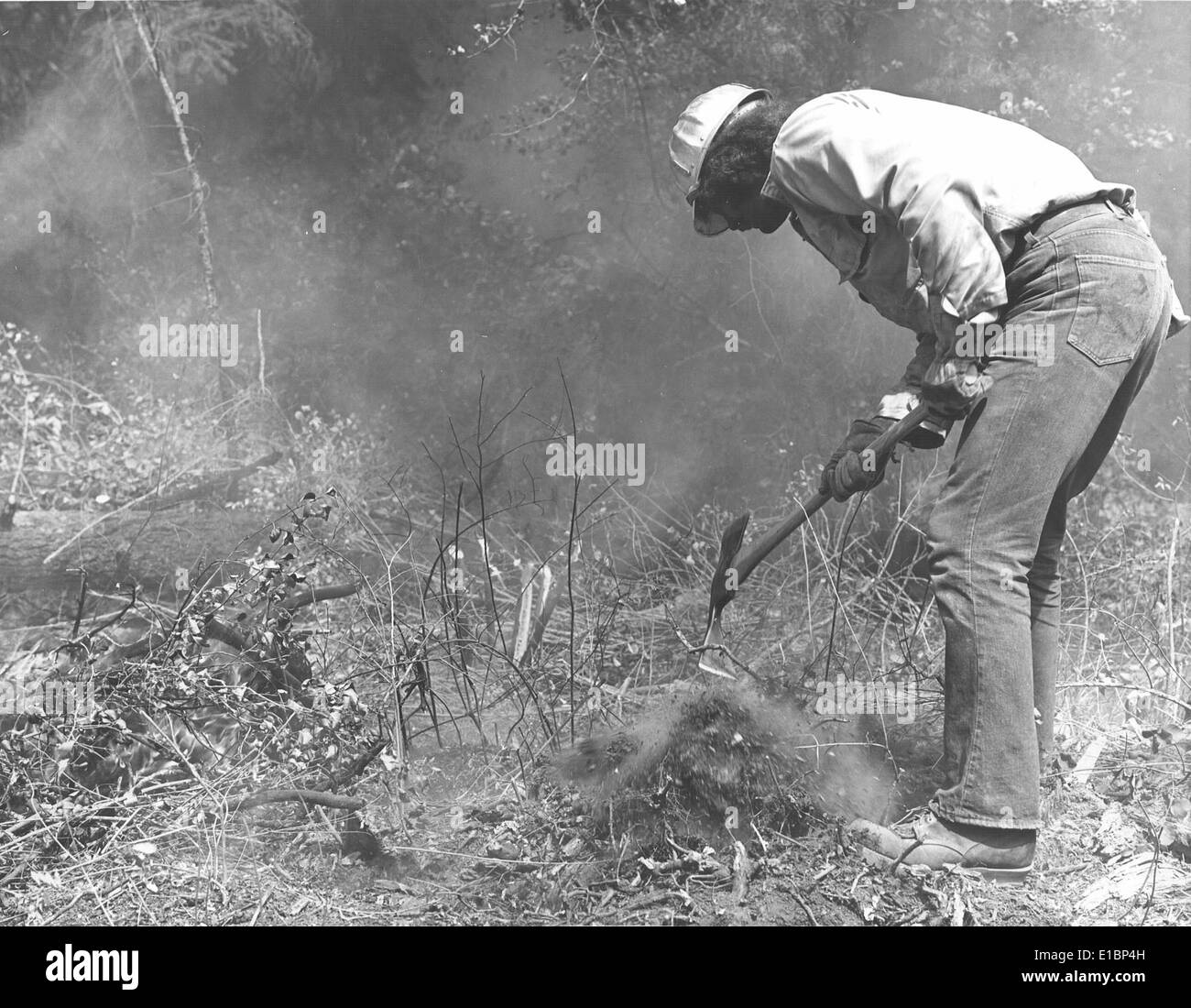 1229 Black and White Stock Photos & Images - Alamy