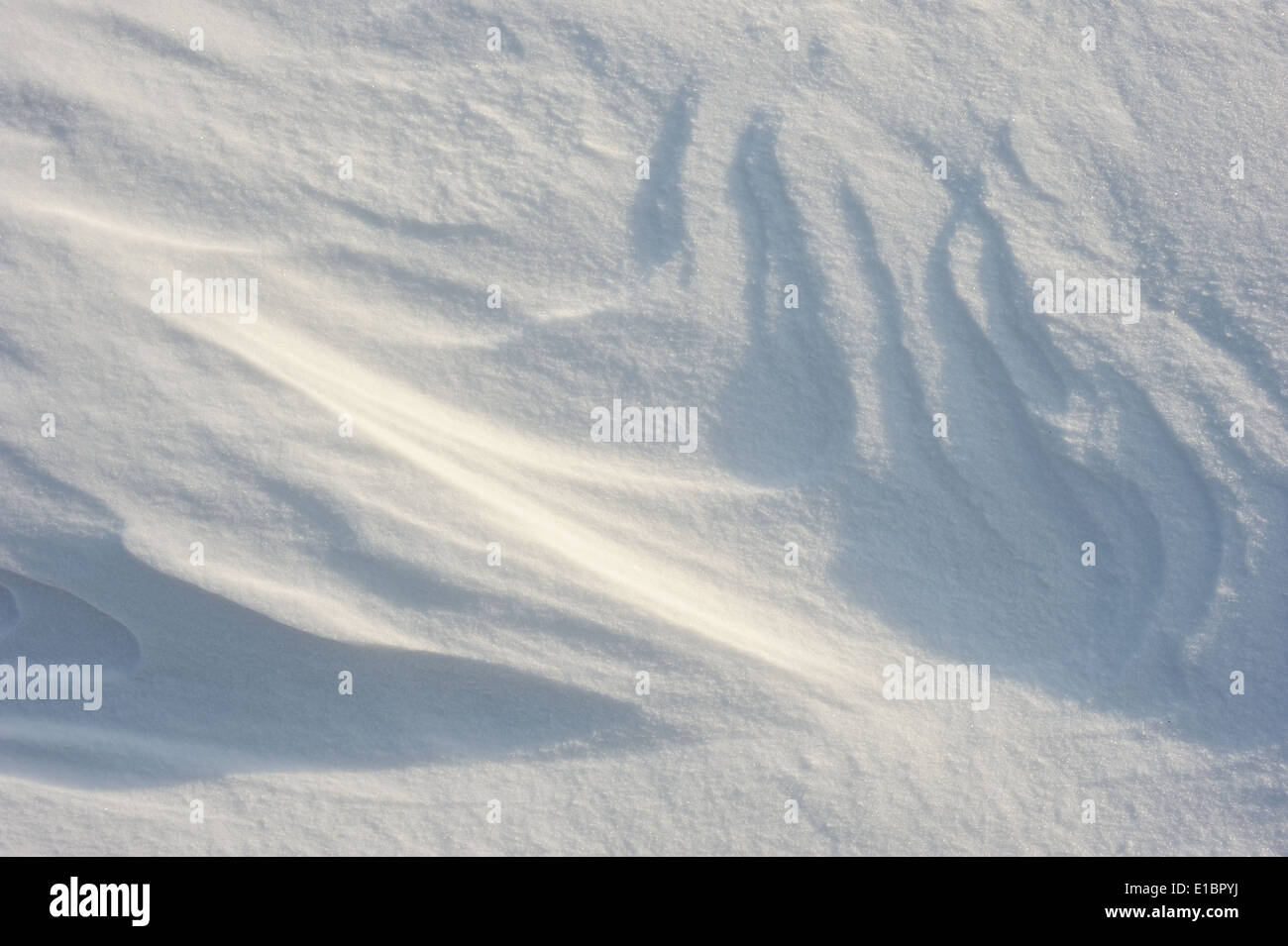 Wind texture in the snow hi-res stock photography and images - Alamy