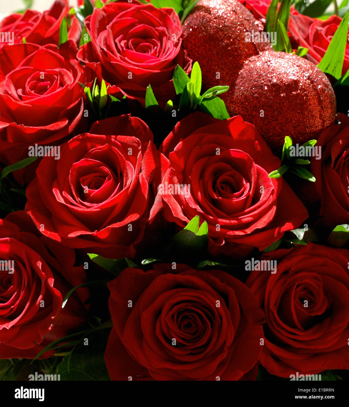 red roses for my love Stock Photo - Alamy