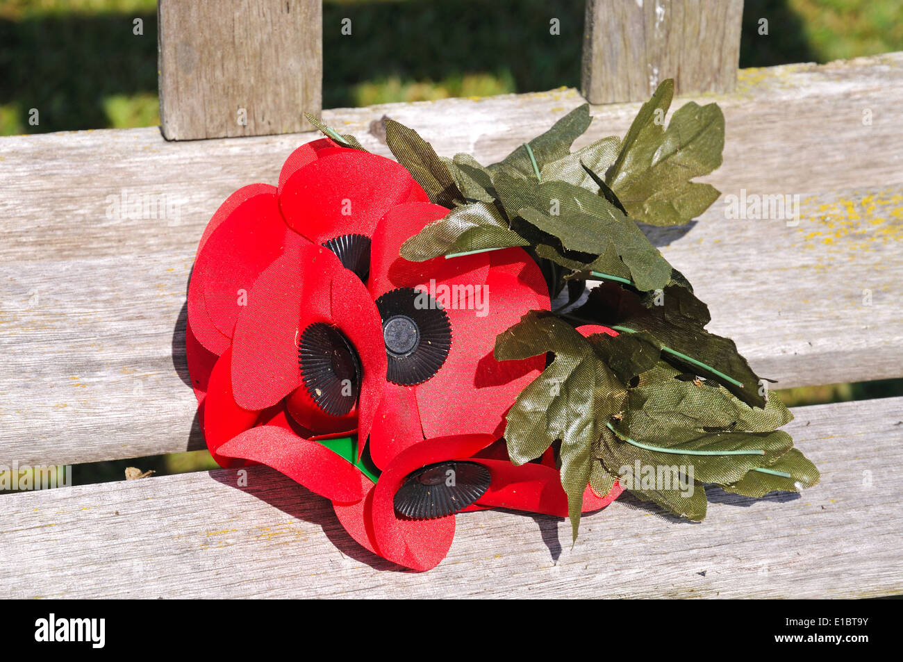 Poppy posy on a wooden bench at the National Memorial Arboretum, Alrewas, Staffordshire, England, UK, Western Europe. Stock Photo