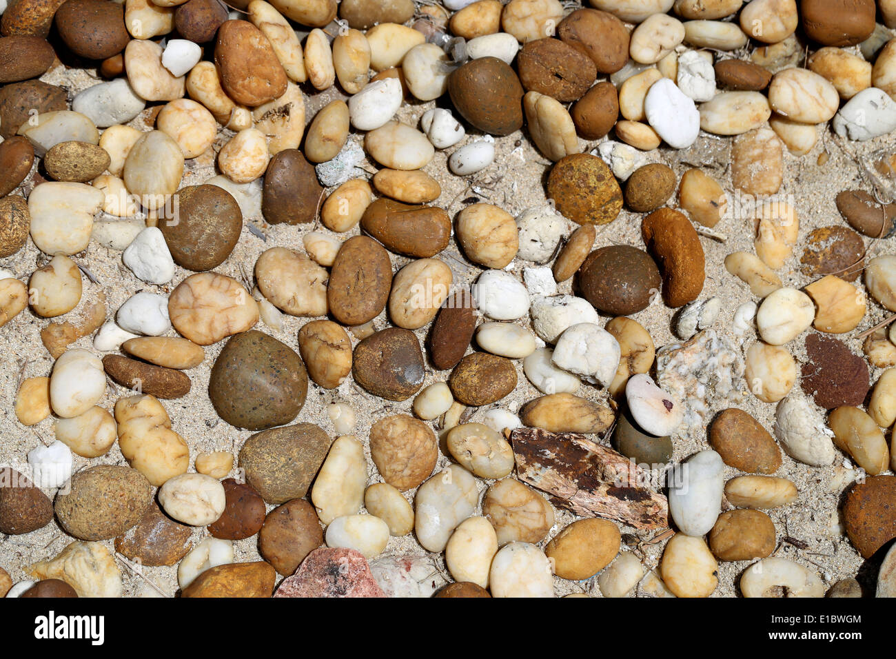 Round white beach pebble hi-res stock photography and images - Alamy