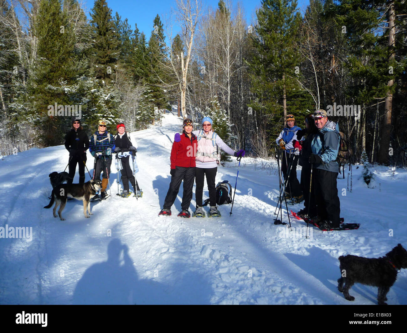 Lake Como CrossCountry ski trails Stock Photo Alamy
