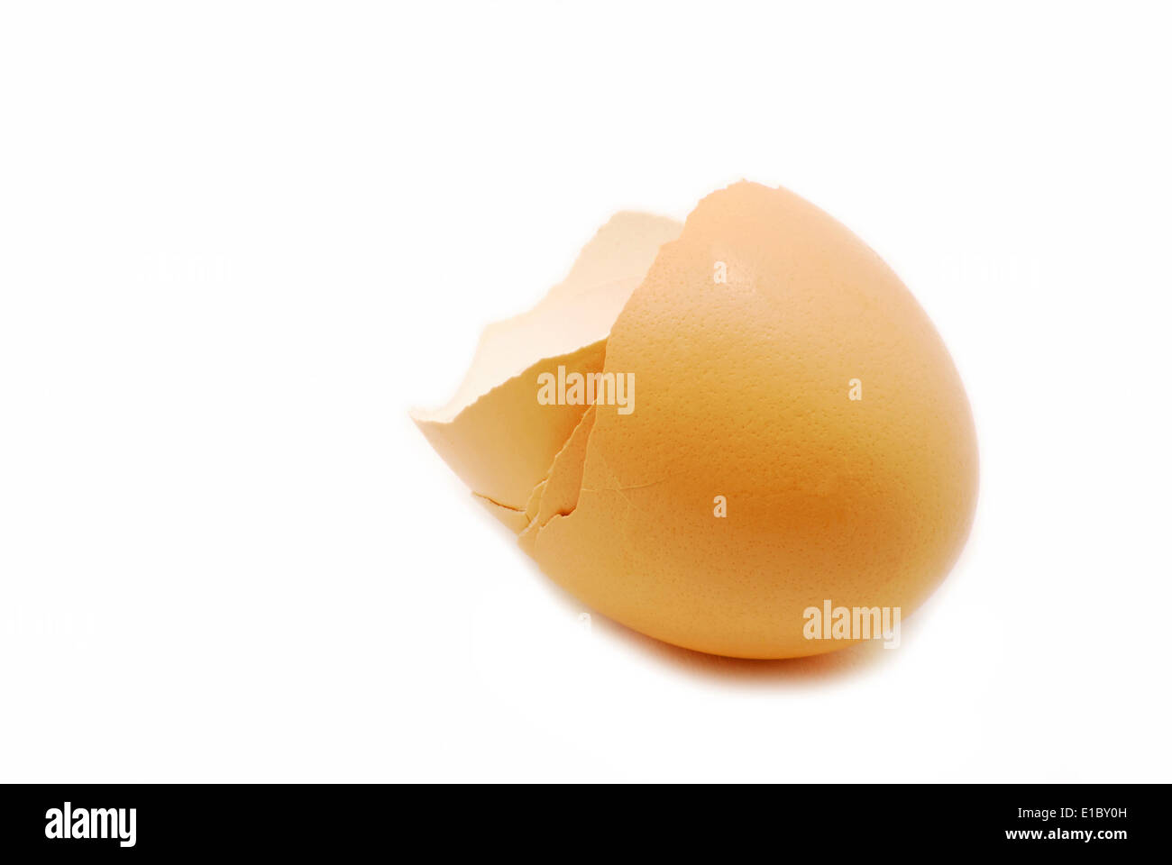 Eggshells isolated on white background Stock Photo