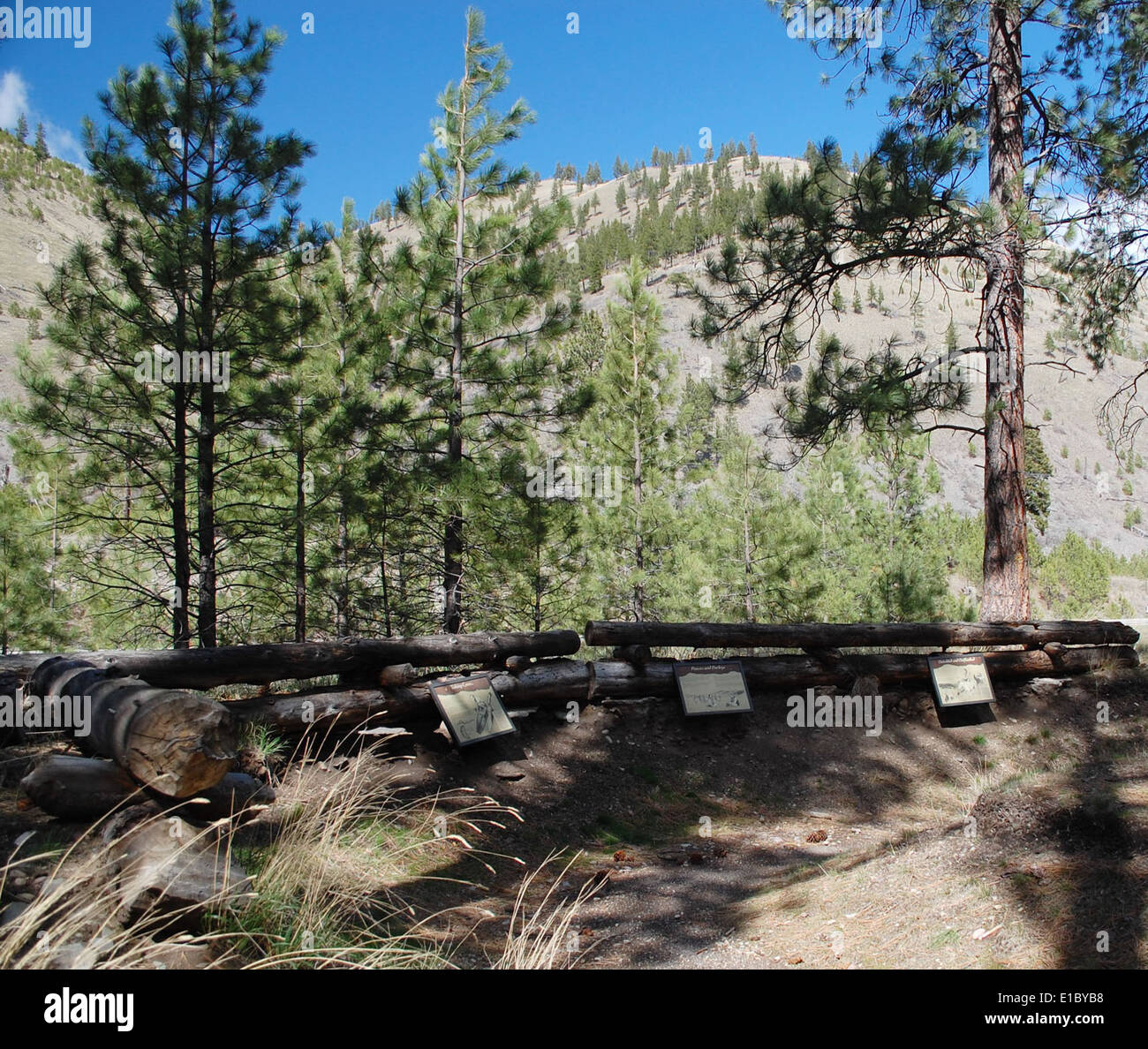 Fizzle hires stock photography and images Alamy