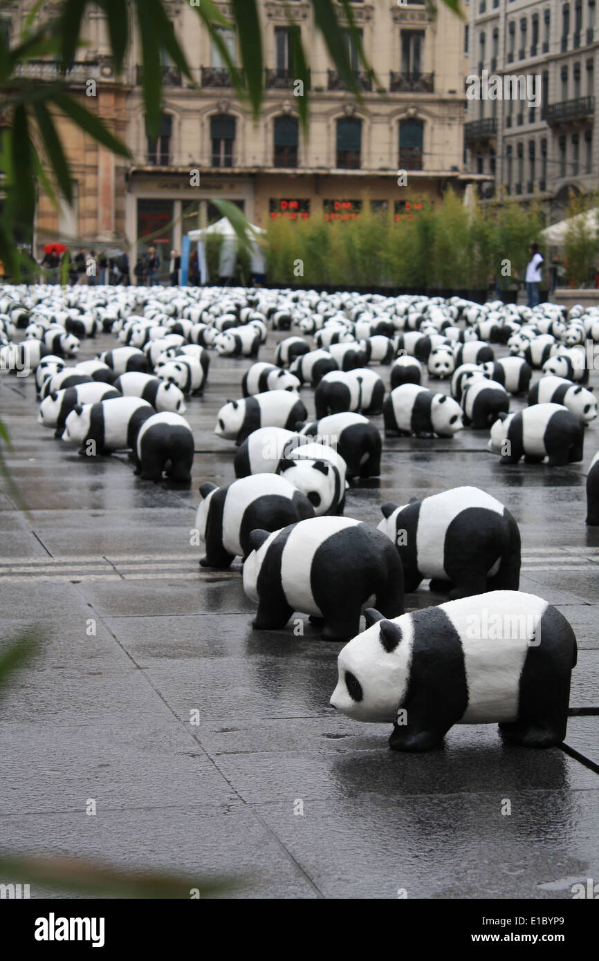 WWF event for preservation of pandas, Lyon, Rhone, Rhone Alpes, France  Stock Photo - Alamy