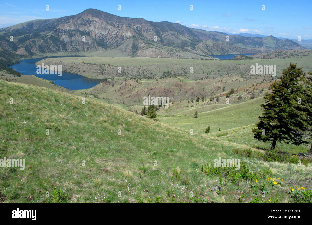 Holter Lake looking down Rescue Gulch Stock Photo Alamy