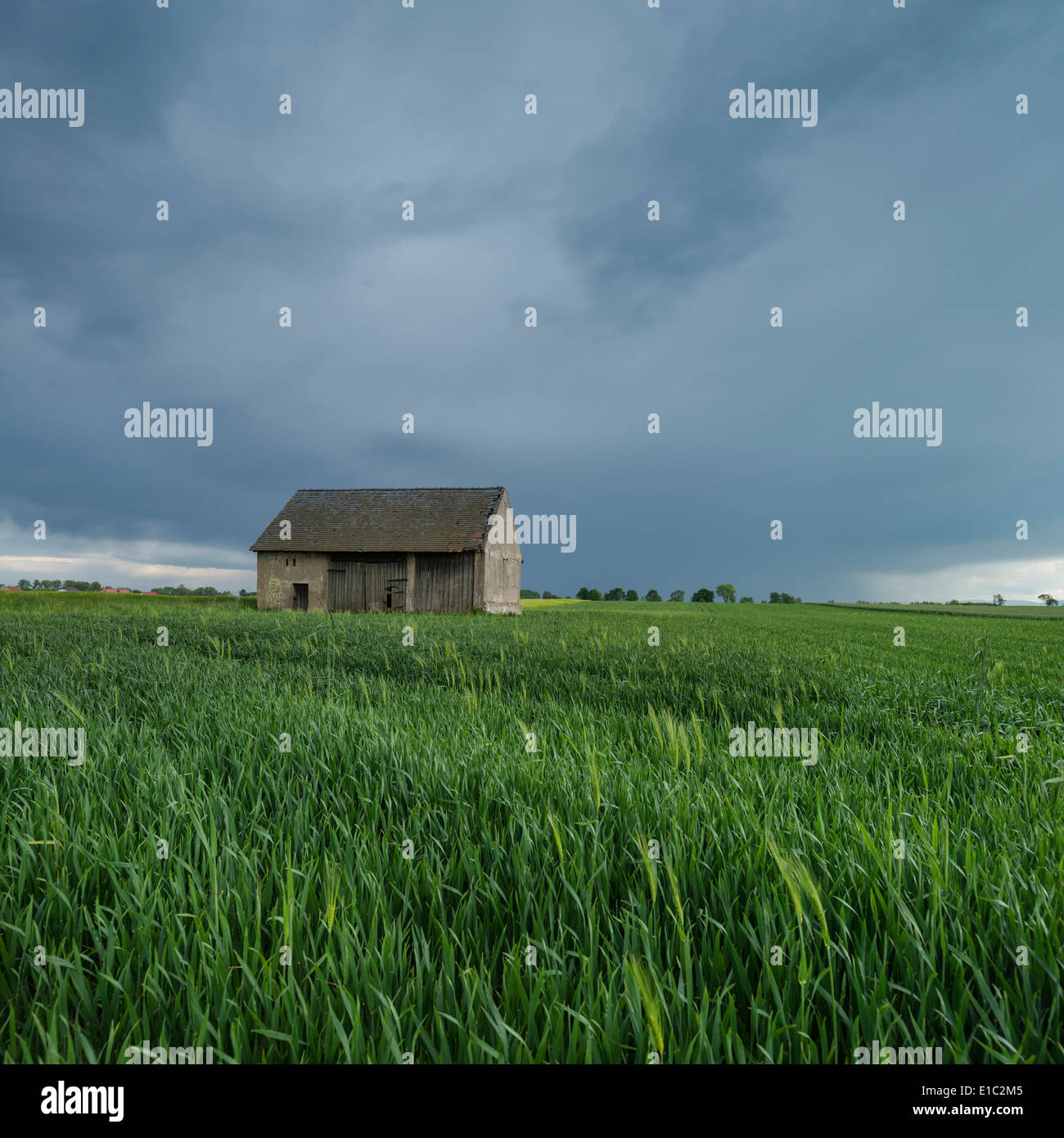 Old barn in farm field, Prudnik County, Opole Voivodship, Silesia, Poland Stock Photo