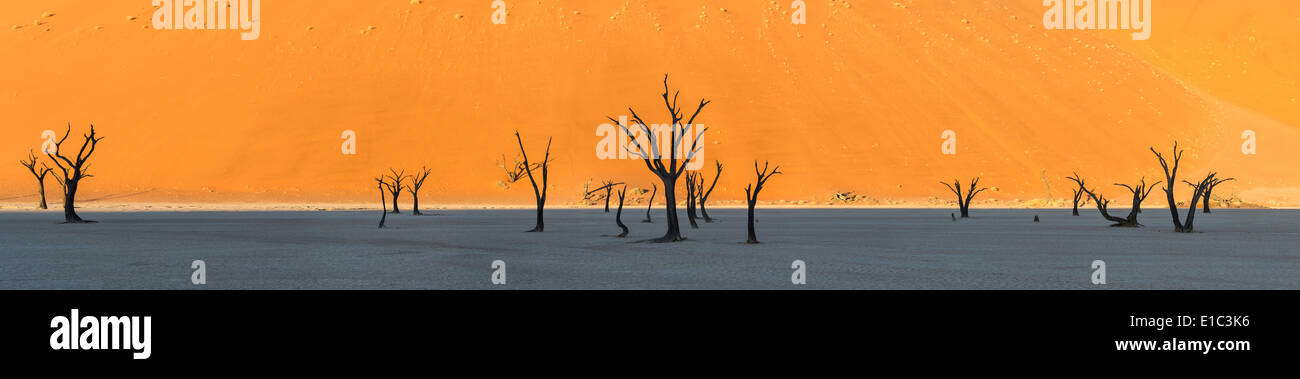Panoramic view of Dead acacia trees in Dead Vlei.Sossusvlei.Namibia Stock Photo