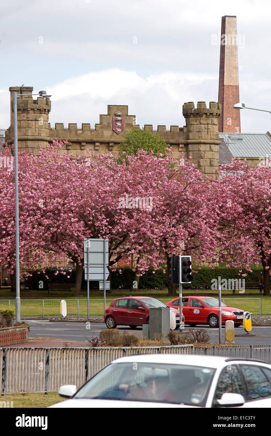 Preston jail hires stock photography and images Alamy