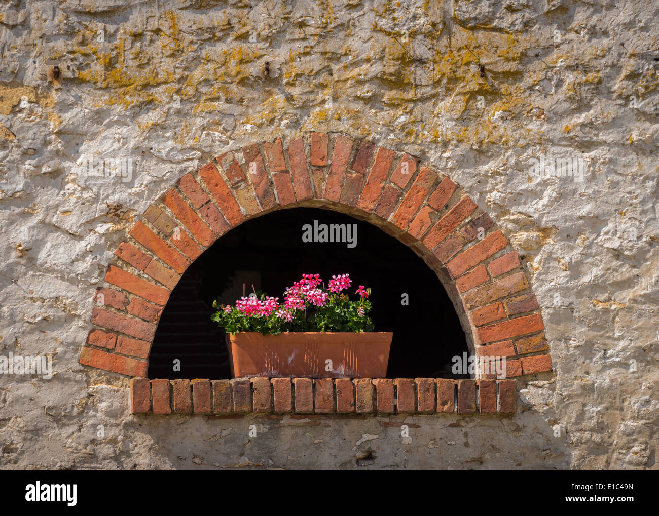 Flowers in a brick archway in the medieval walled town of Provins ...