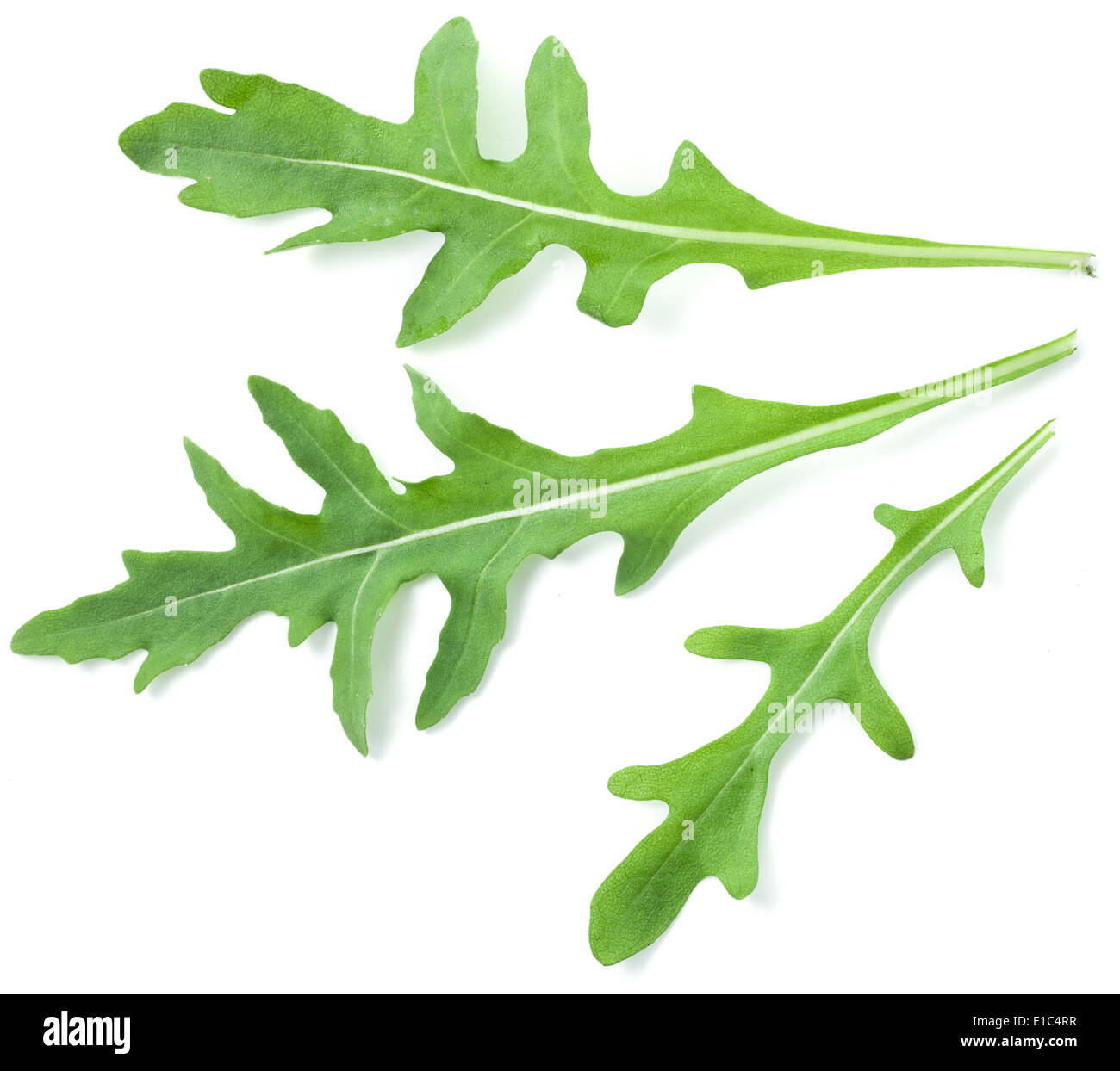 Green arugula leaves isolated on a white background. Stock Photo