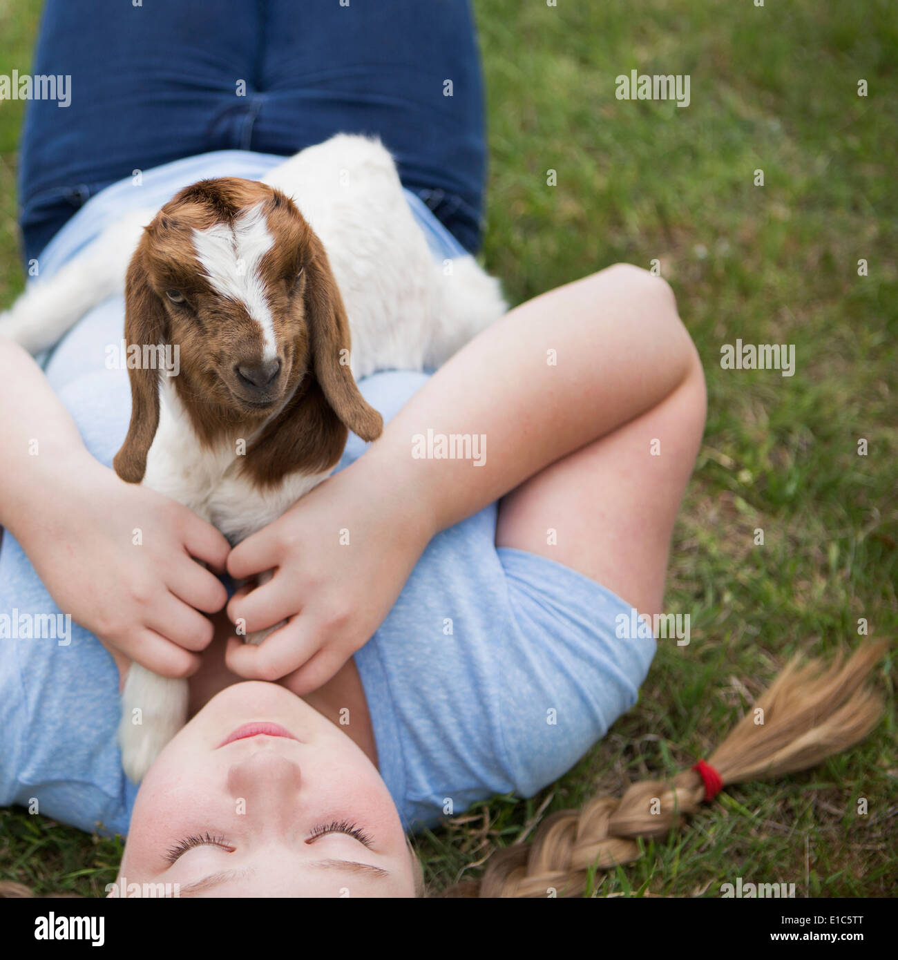A girl cuddling a baby goat lying on her chest. Stock Photo
