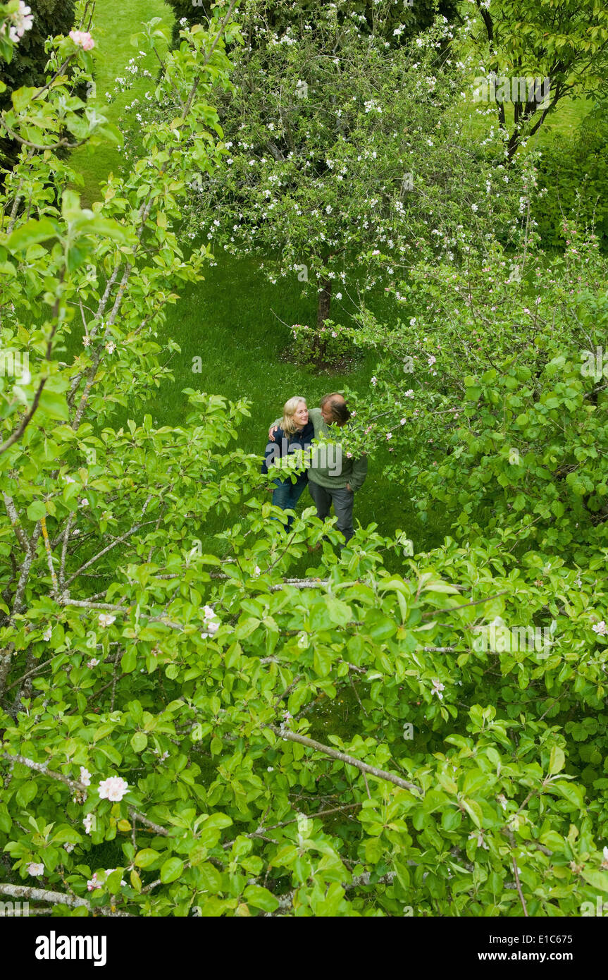 A couple viewed from a distance, strolling together in an orchard. Stock Photo