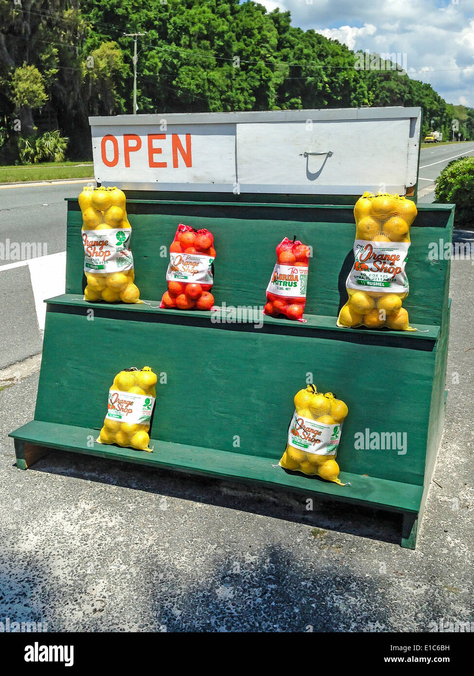 Florida oranges hires stock photography and images Alamy