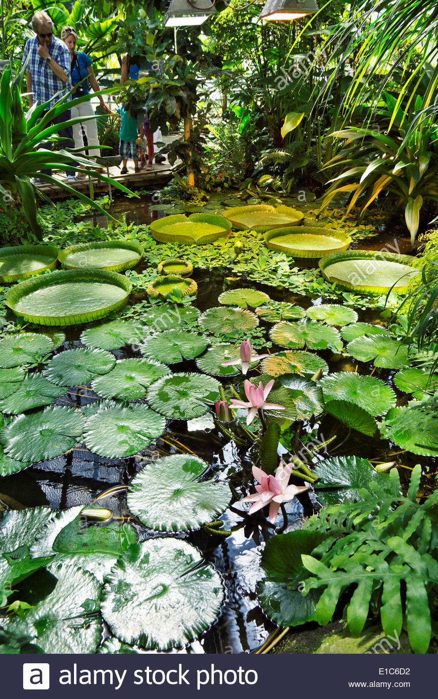Botanischer Garten Stock Photos Botanischer Garten Stock Images