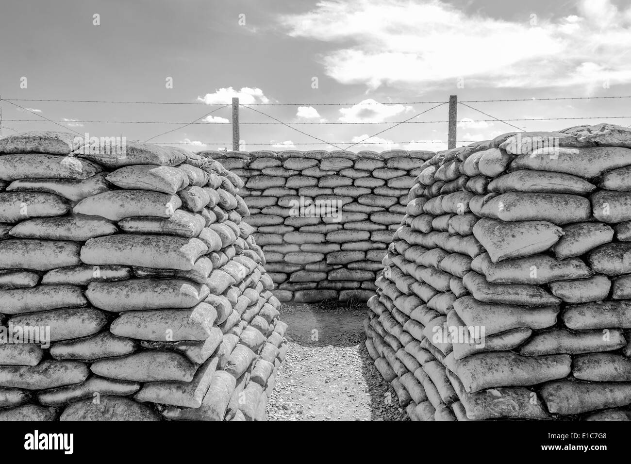 Trench of death world war 1 belgium flanders fields Stock Photo