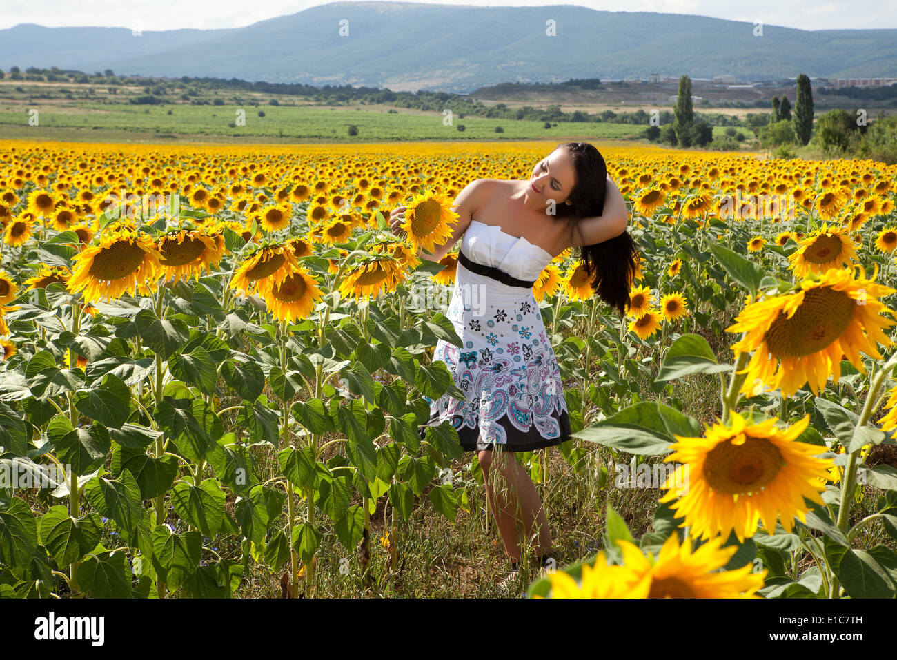 Pretty woman walking alone in a Bulgarian sunflower field Stock Photo ...