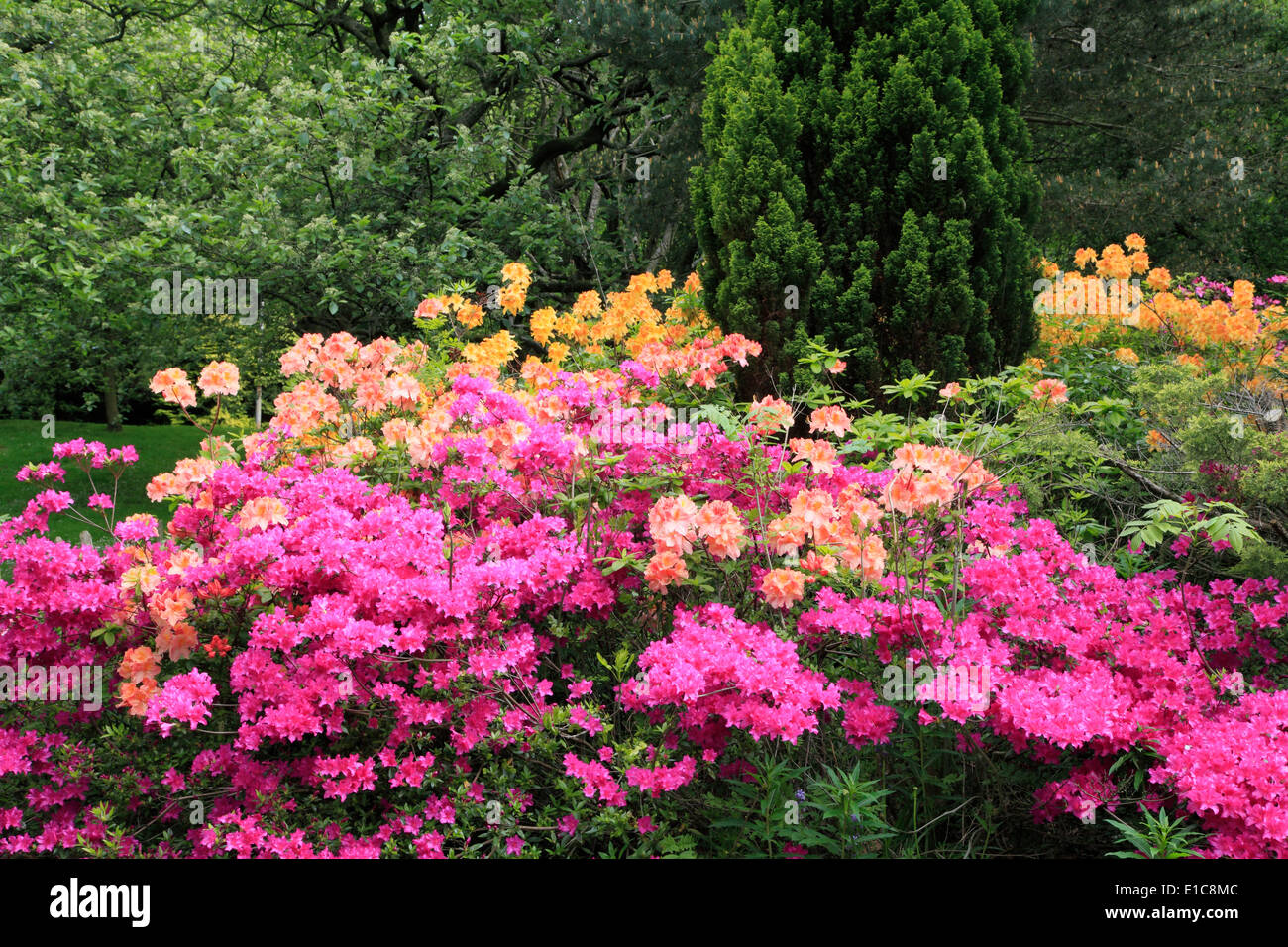 Glasgow scenery hires stock photography and images Alamy