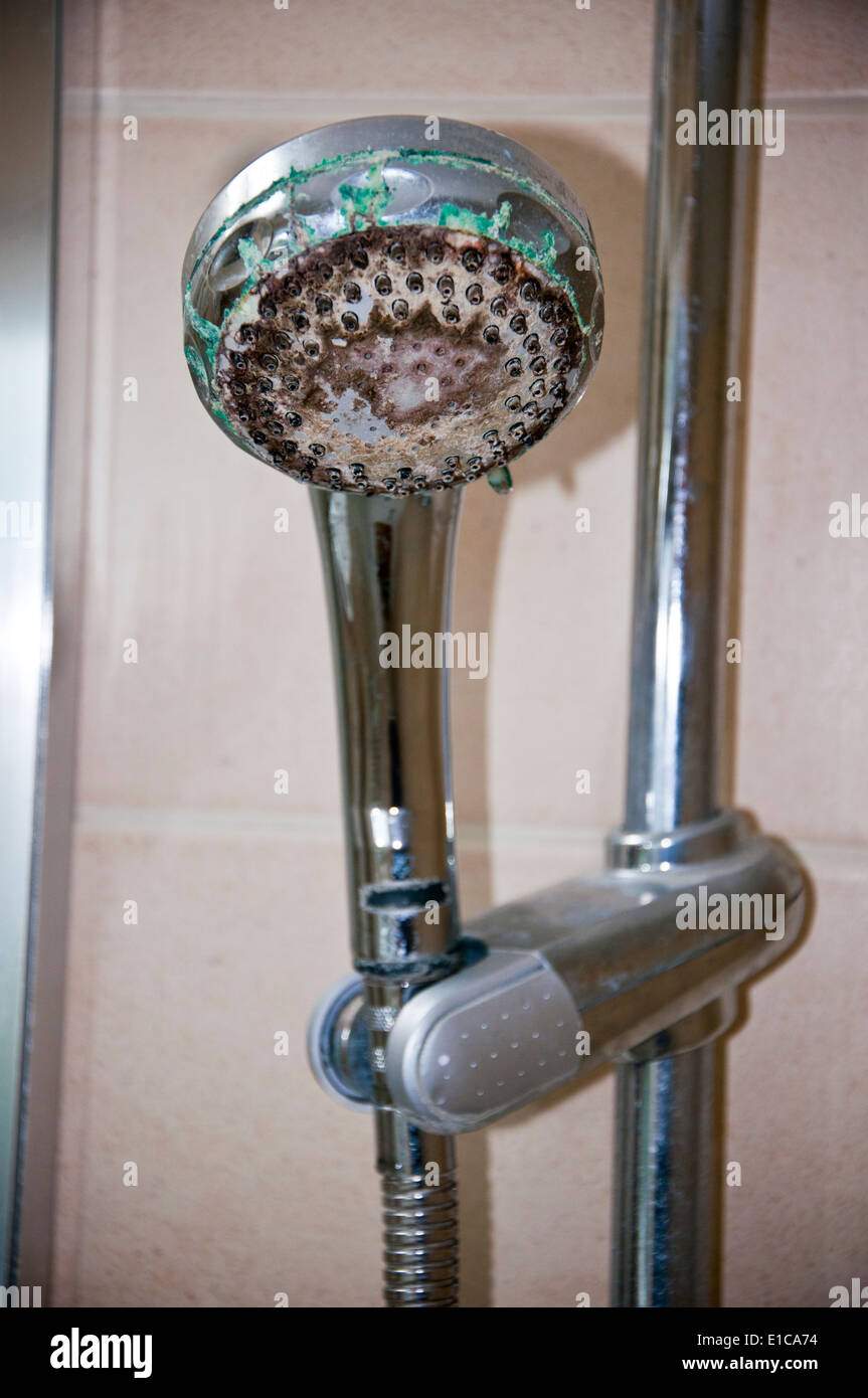 lime scale on shower head Stock Photo Alamy