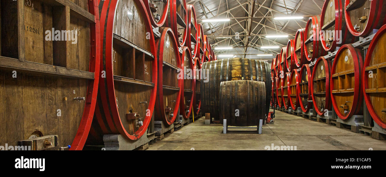 Oak barrels at Brouwerij Boon, Belgian brewery at Lembeek near Brussels