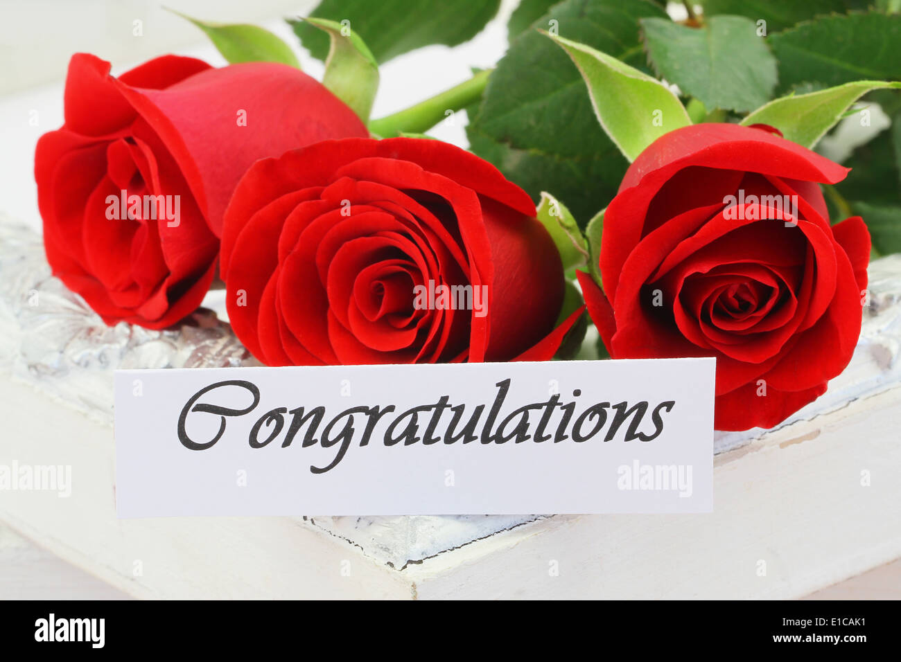 Congratulations card with red roses Stock Photo Alamy