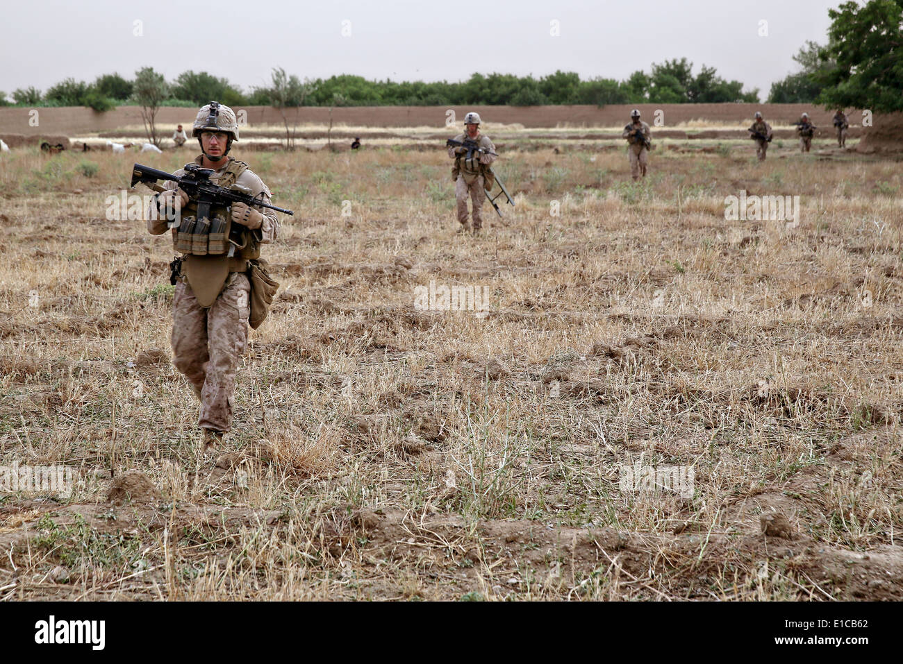 US Marines with the 1st Battalion, 7th Marine Regiment, patrol during a counter-insurgency mission May 16, 2014 in Larr Village, Helmand province, Afghanistan. Stock Photo