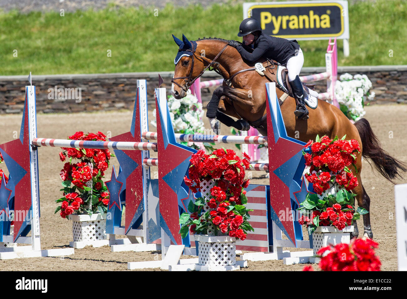 HITS on the Hudson Show Jumping, Saugerties, NY Stock Photo Alamy