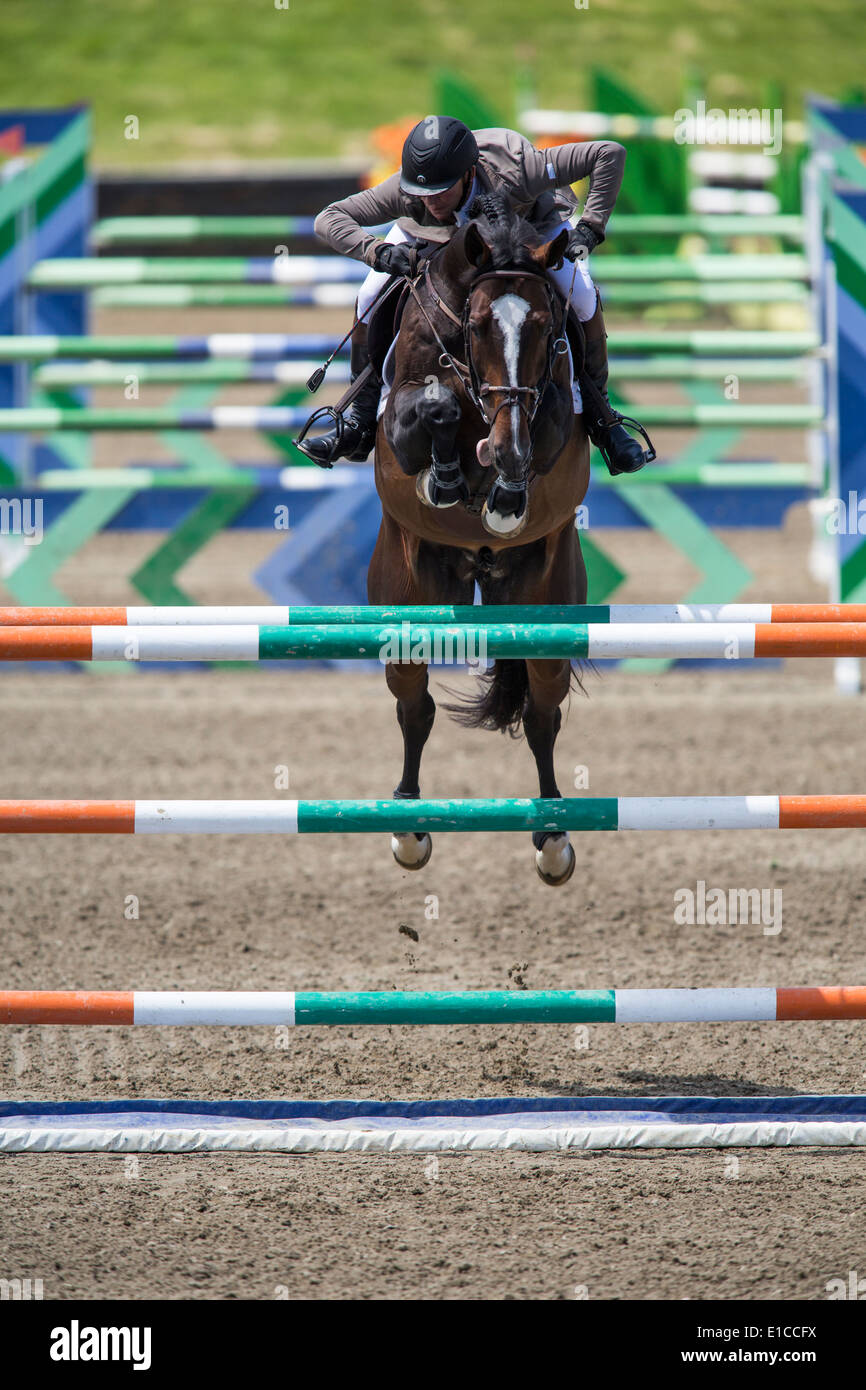 HITS on the Hudson Show Jumping, Saugerties, NY Stock Photo Alamy