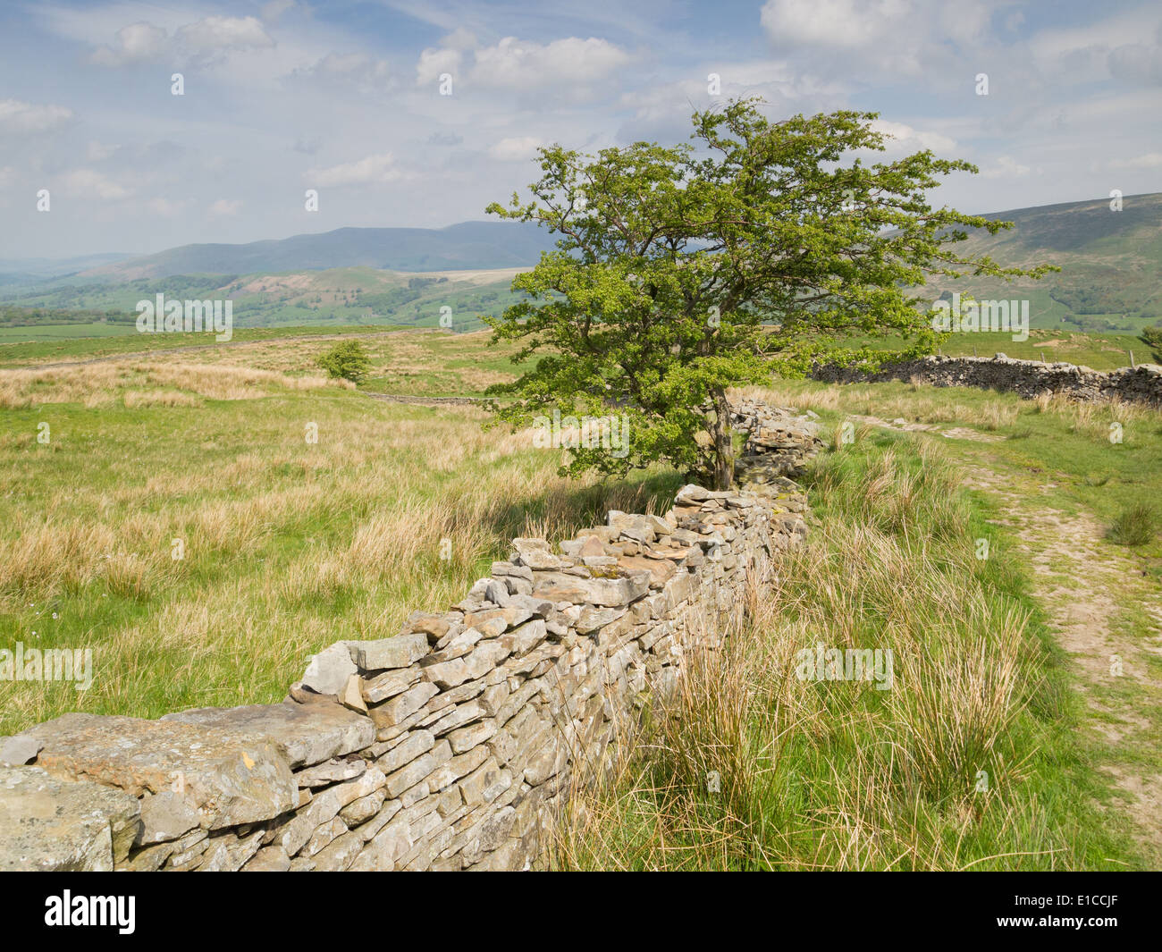 Green Lane track above Dent in the Yorkshire Dales Stock Photo