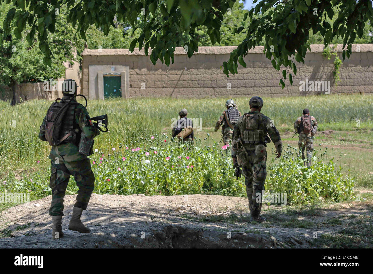 Afghan National Army Special Forces with the 6th Special Operations Kandak and US Army Special Forces commando, attached to Combined Joint Special Operations Task Force-Afghanistan, during a counter-insurgency operation May 27, 2014 in the Nejrab district, Kapisa province, Afghanistan. Stock Photo