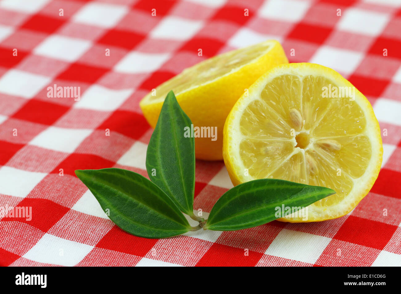Lemon halves on checkered cloth Stock Photo