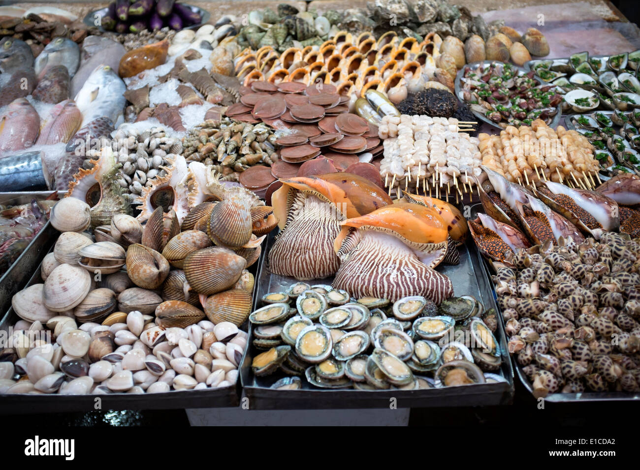 Shellfish Display at Dinh Cau Night Market in Duong Dong on Phu Quoc Island Vietnam Stock Photo