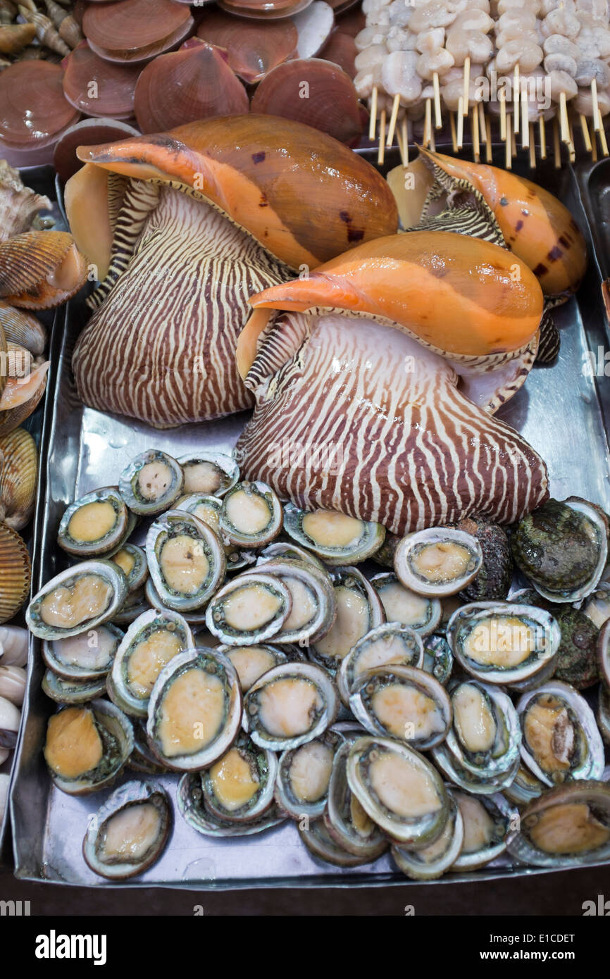 Shellfish Display at Dinh Cau Night Market in Duong Dong on Phu Quoc Island Vietnam Stock Photo