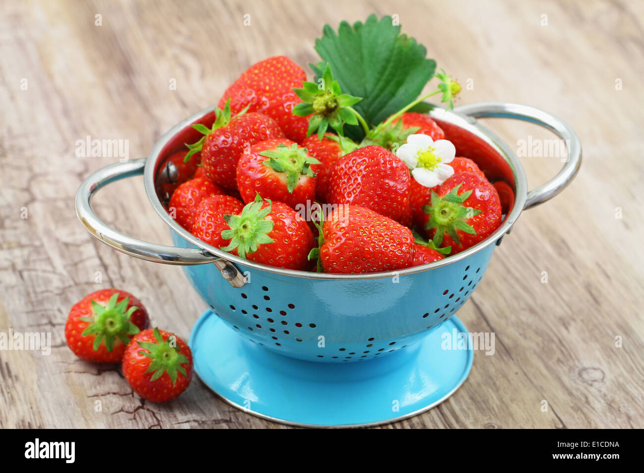 Strawberries in blue metal hi-res stock photography and images - Alamy