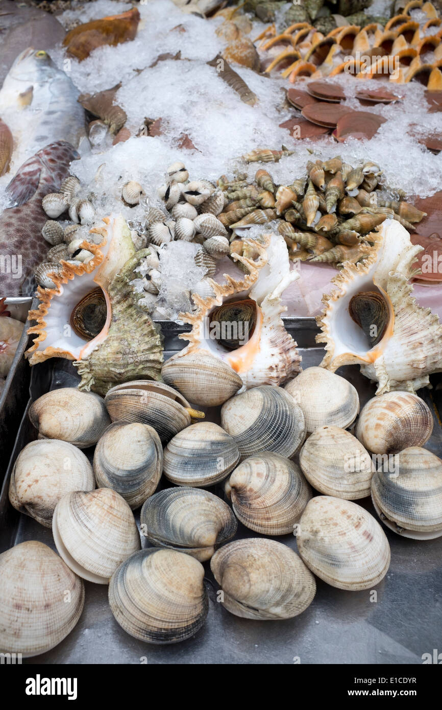 Shellfish Display at Dinh Cau Night Market Phu Quoc Island Vietnam Stock Photo