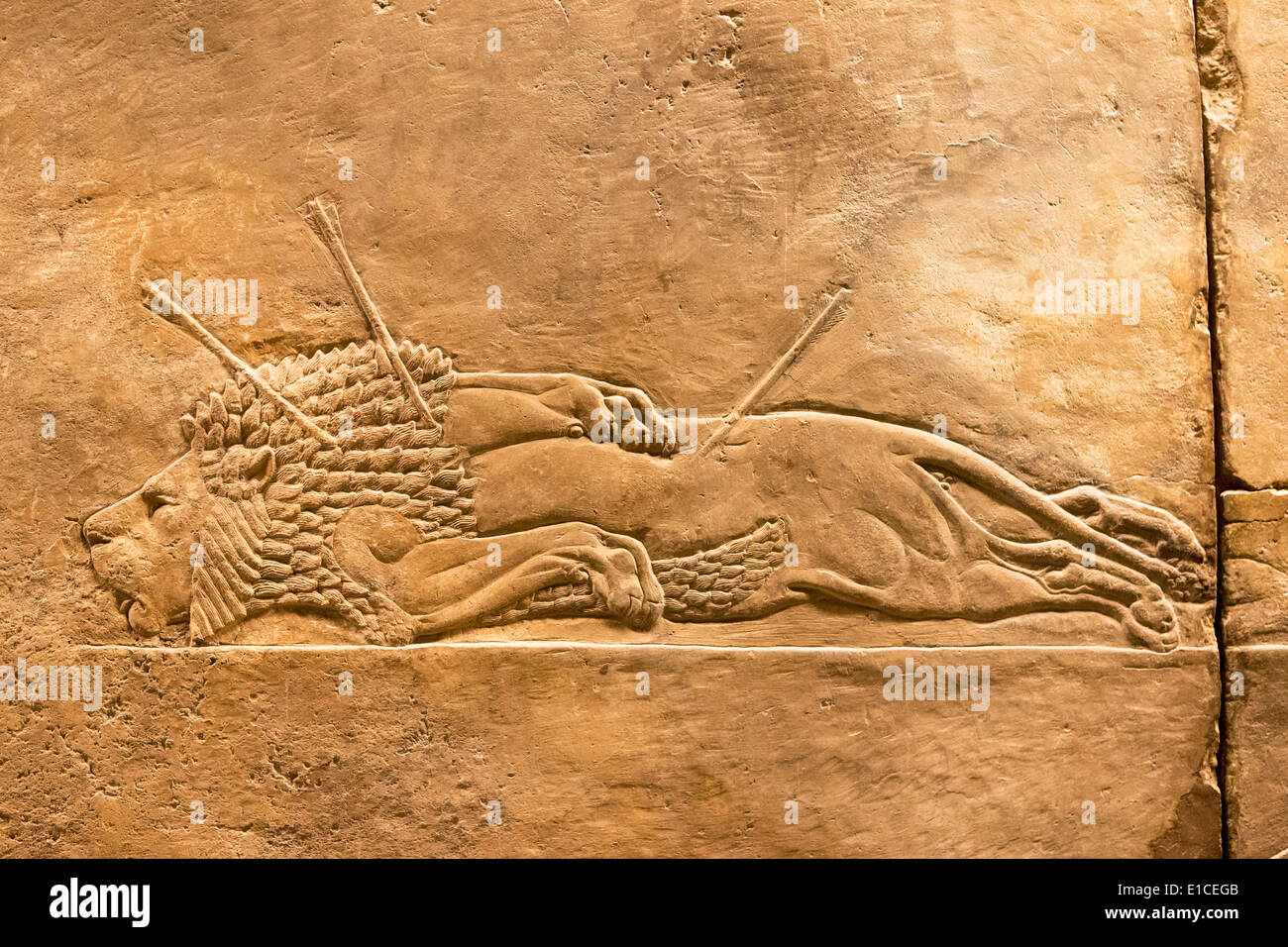 Lion hunt from Nineveh North Palace, British Museum, London,  UK. Stock Photo