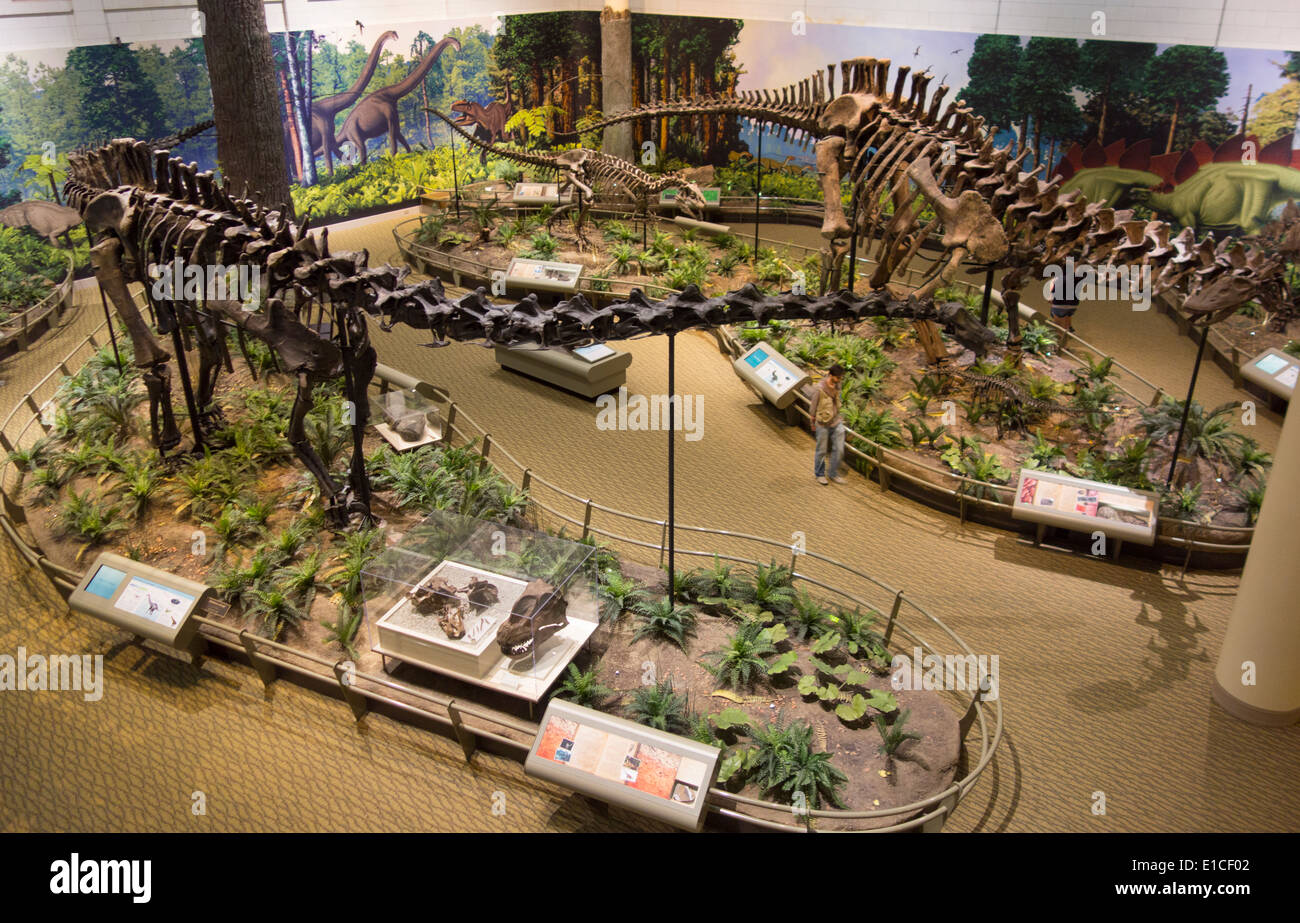 Carnegie museum of natural history in pittsburgh pa stock photo alamy