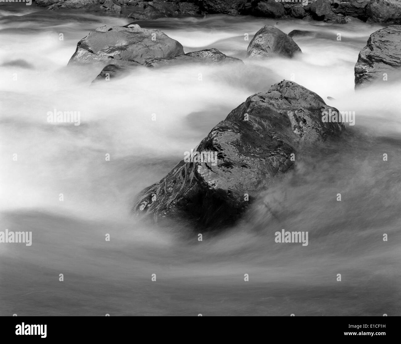 BW00437-00...WASHINGTON - Diobsud Creek in the Noisy-Diobsud Wilderness of Mount Baker-Snoqualmie National Forest. Stock Photo