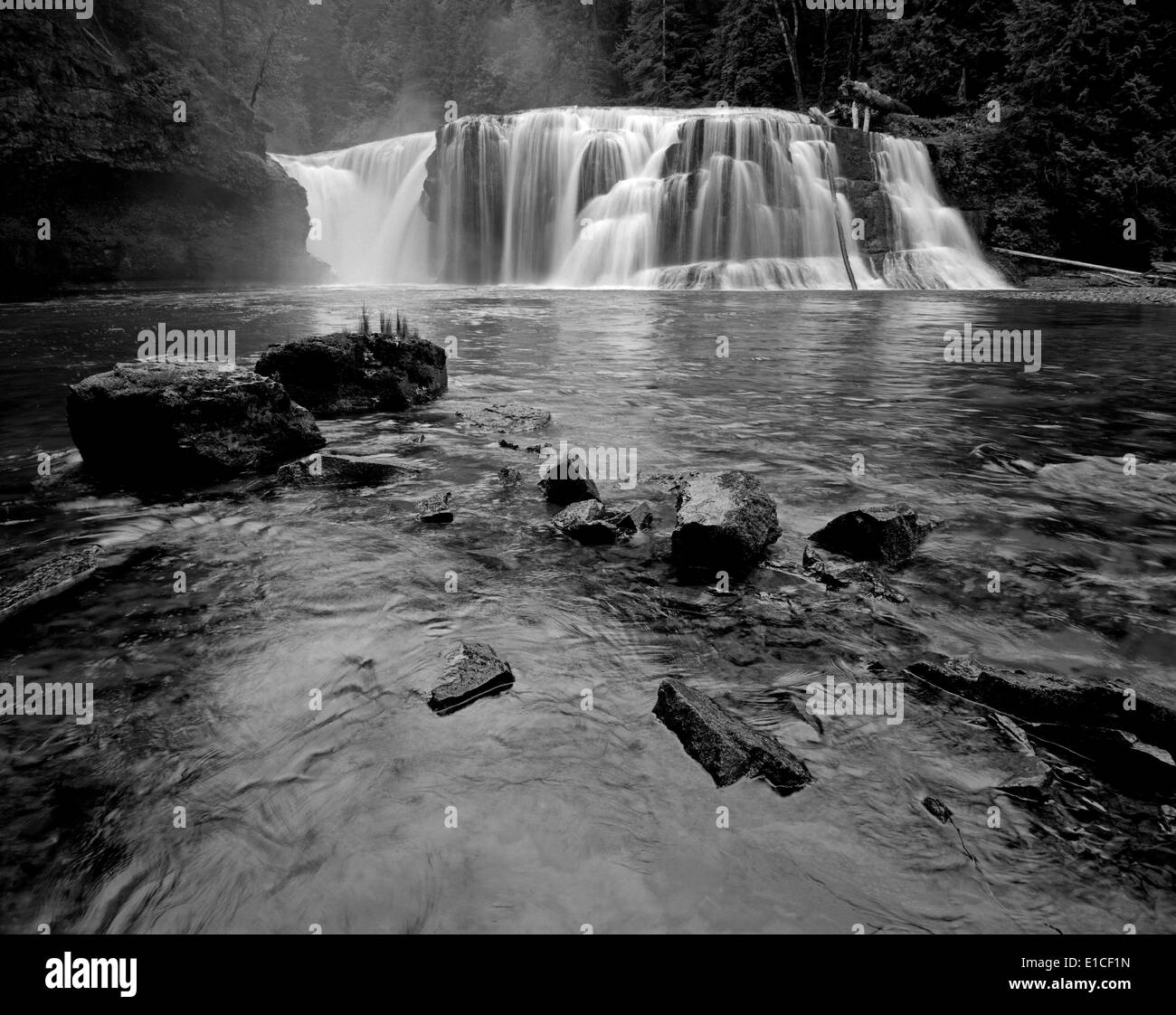 BW000522-00....WASHINGTON - Lower Lewis River Falls in Gifford Pinchot ...