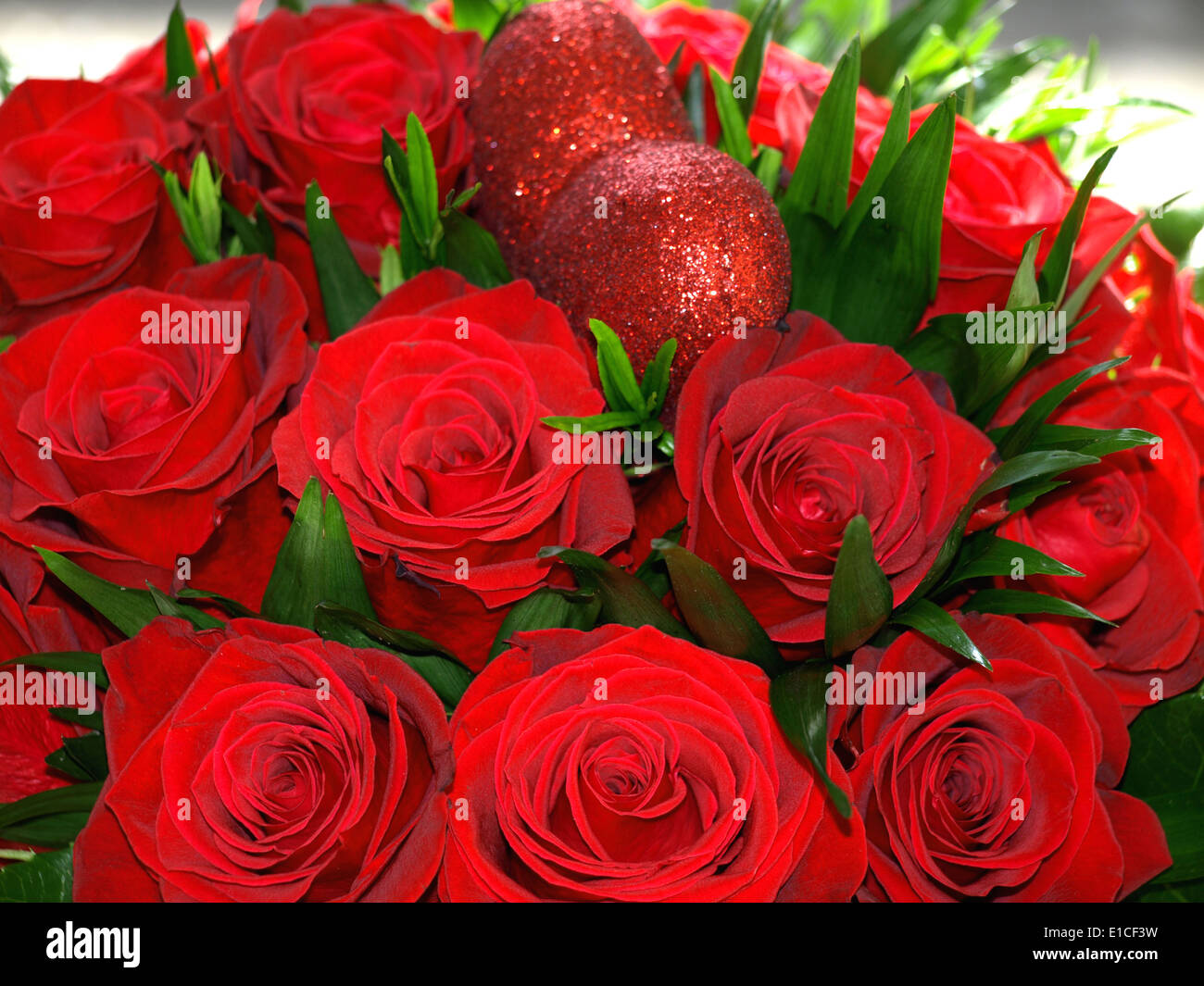 red roses for my love Stock Photo