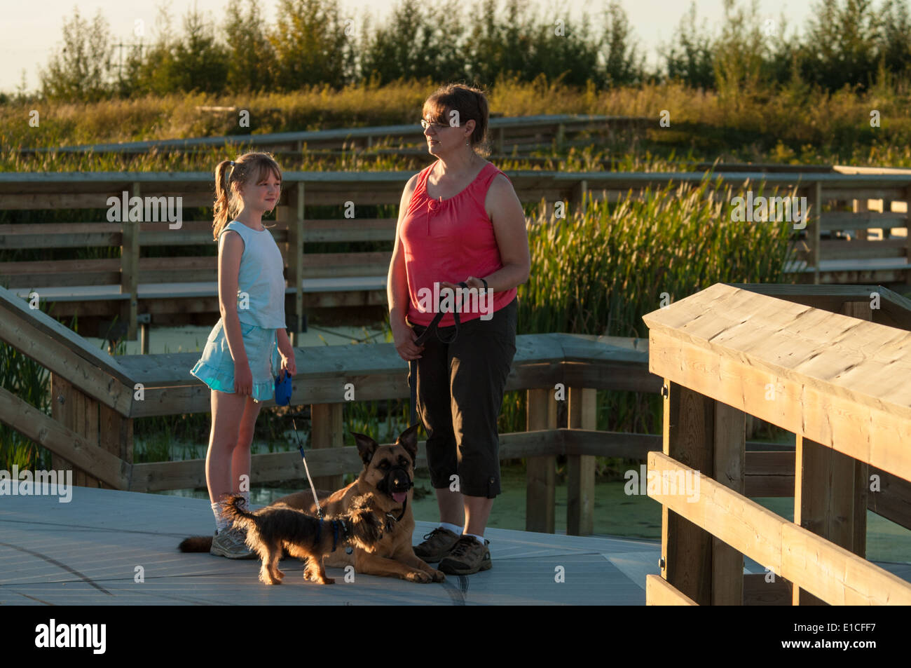 Mother and daughter standing with their dogs on a boardwalk in a marsh, St Albert, Alberta Stock Photo