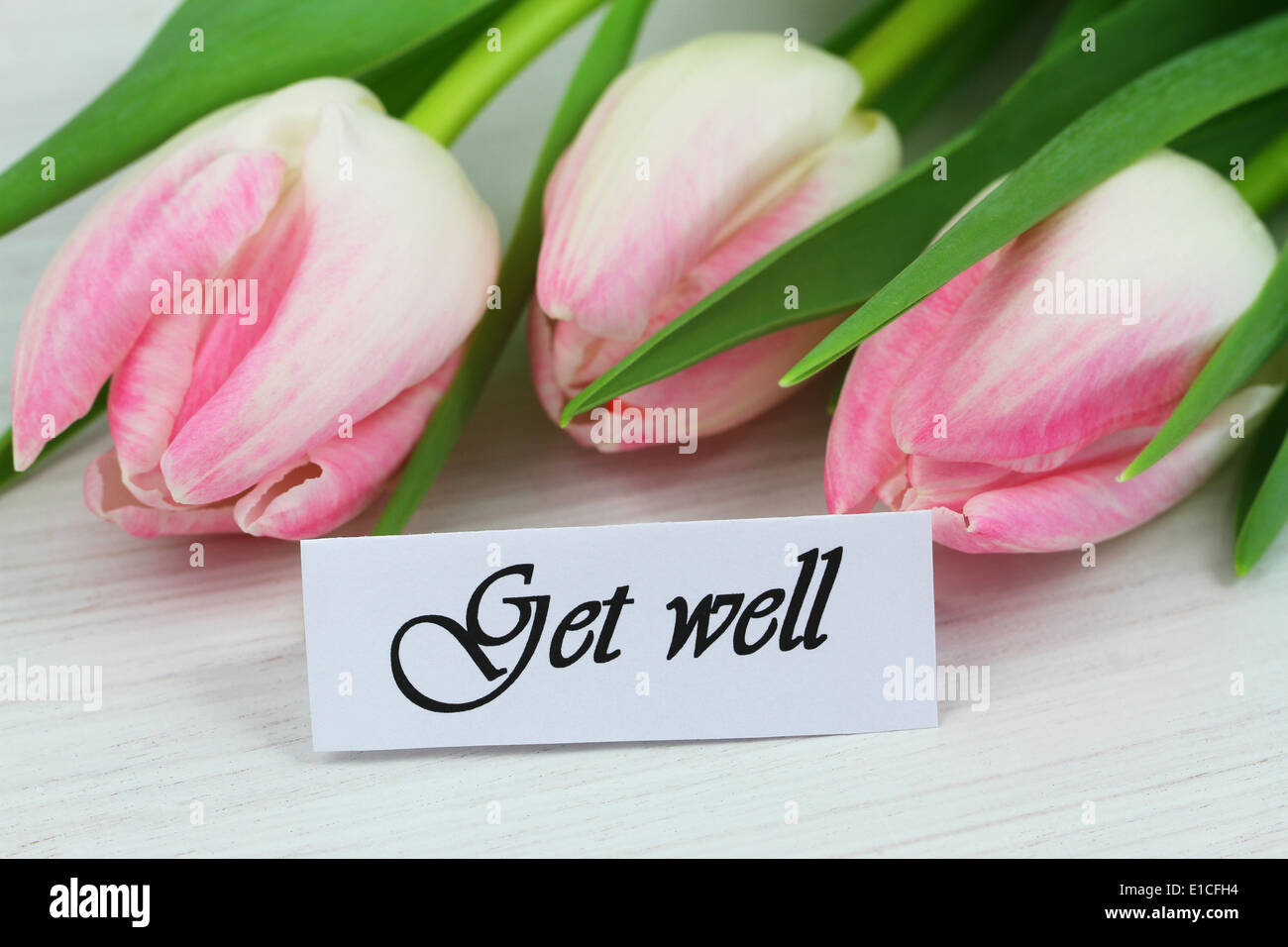 Get Well Card With Pink Tulips Stock Photo Alamy