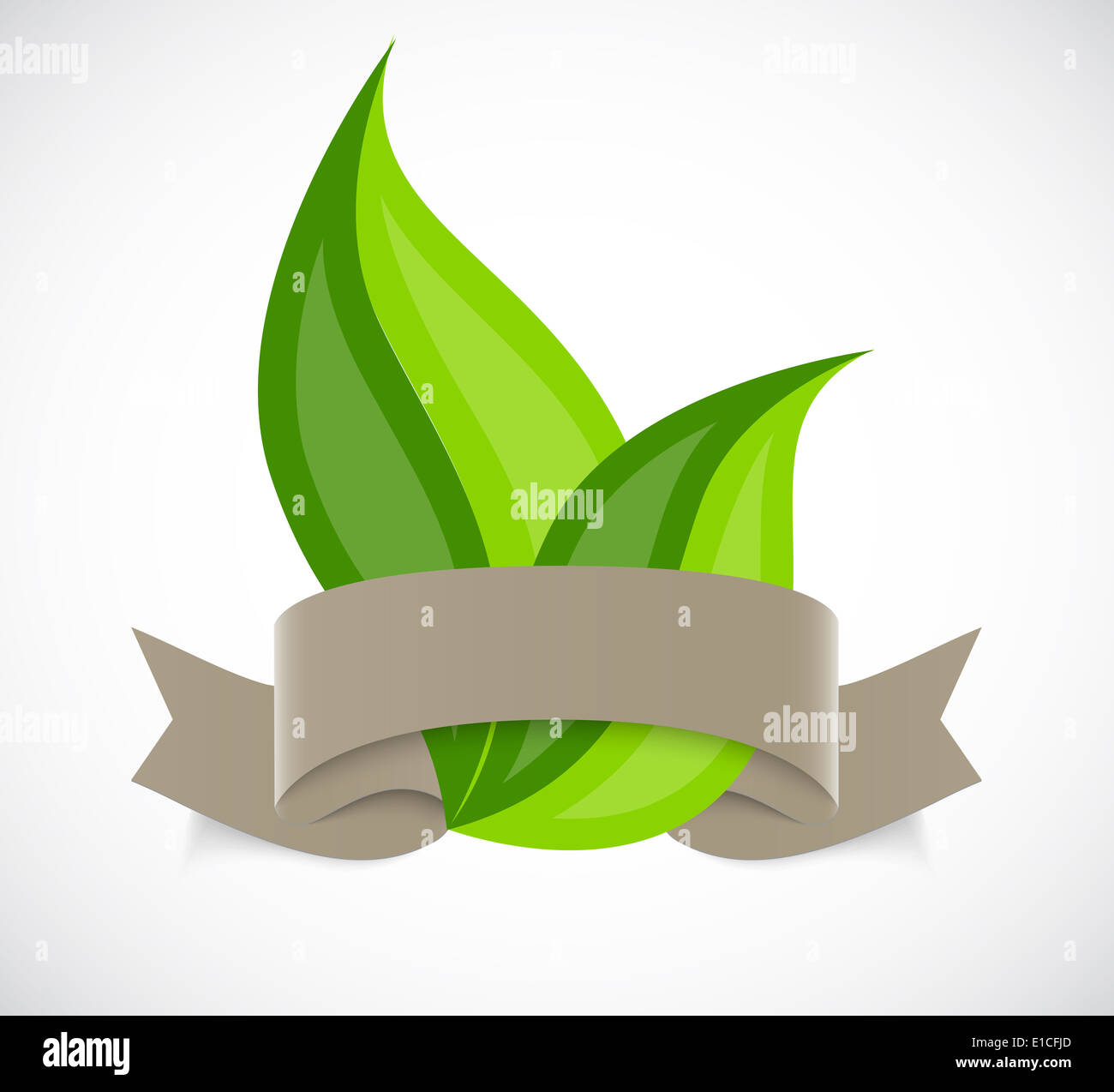 Leaf ribbon hi-res stock photography and images - Alamy