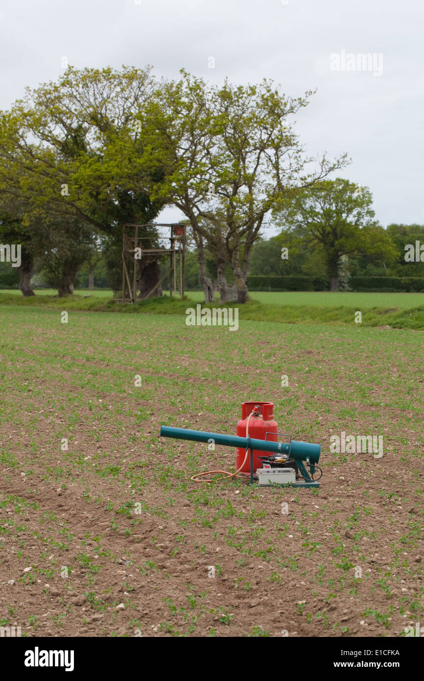 Bird Scarer. Gas Gun Battery time clock operated device used to help reduce depredations by pest species of birds on crops. Stock Photo