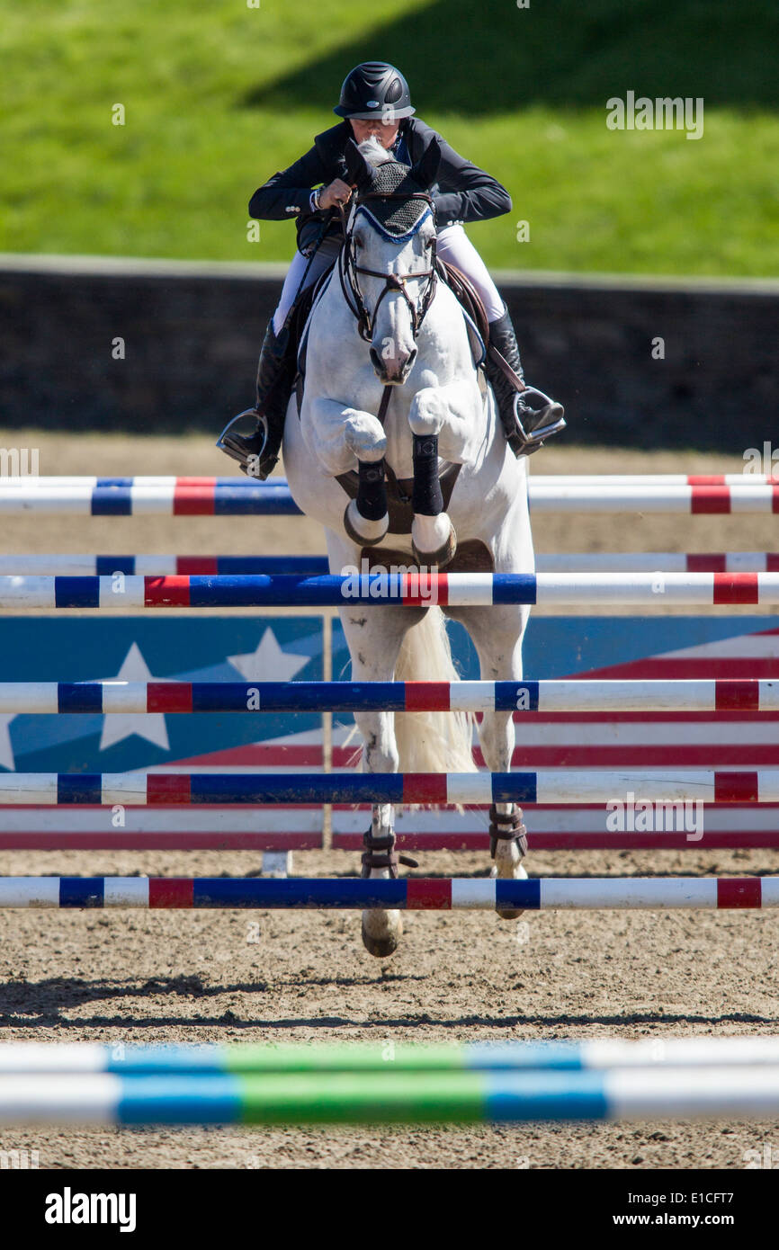 HITS on the Hudson Show Jumping, Saugerties, NY Stock Photo Alamy