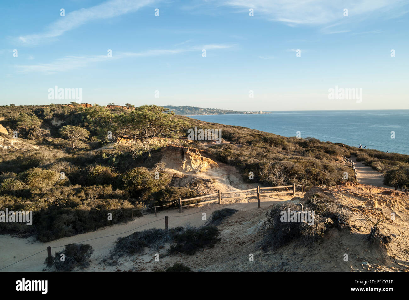 Torry Pines State Park at sunset, La Jolla, California Stock Photo