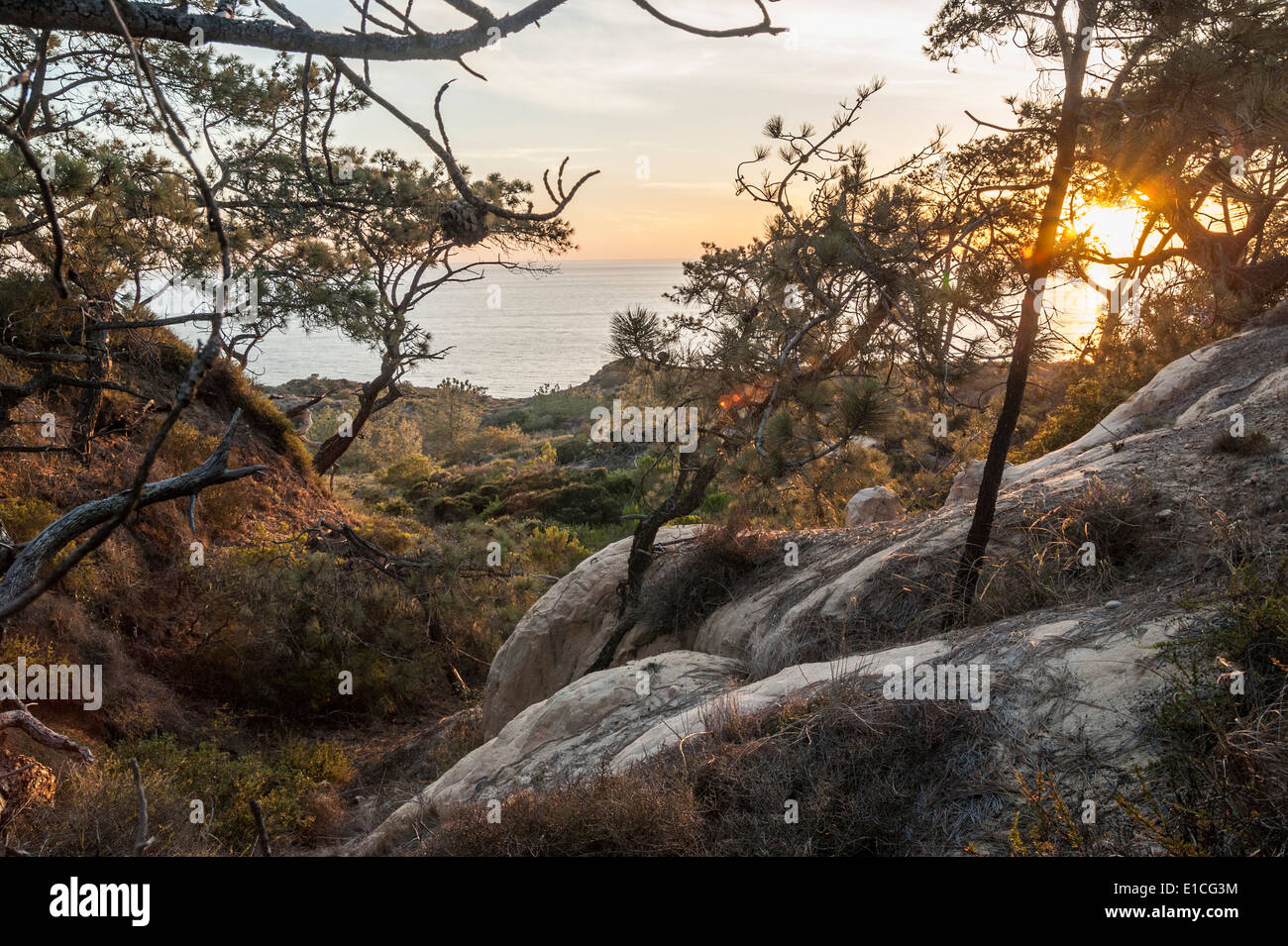 Cliffs and sunset over Pacific Ocean at Torrey Pines State Park, La Jolla California Stock Photo