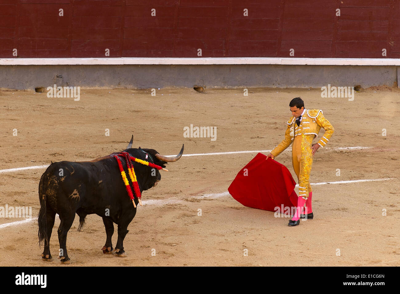 Madrid, Spain. 30th May 2014. Action taking place during the bullfighting in Las Ventas, in Madrid, with Paco Ureña bullfighter, Spain, May 30, 2014 Credit:  nacroba/Alamy Live News Stock Photo