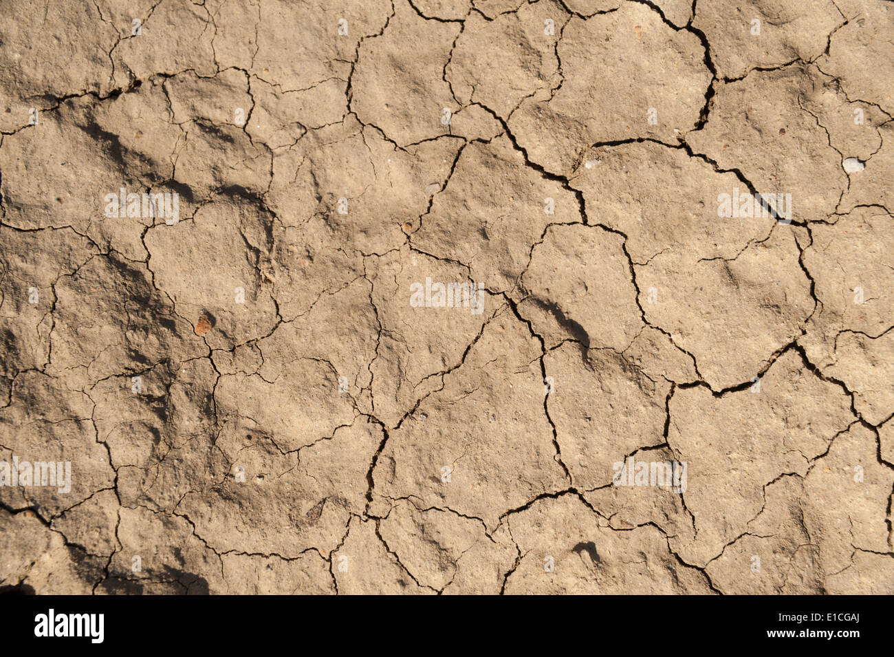 Dry, cracked clay on cliffs above Black's Beach, La Jolla, CA Stock Photo